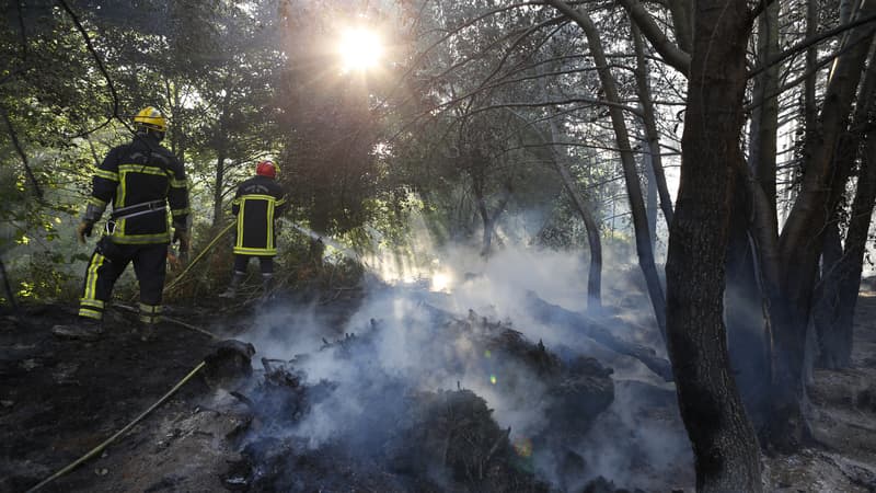 Des pompiers luttent contre les flammes à Pietracorbara, dans le Cap-Corse, le 12 août 2017