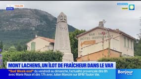 Var: le Mont Lachens, un îlot de fraîcheur très prisé lors des fortes chaleurs