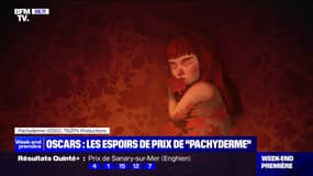 Oscars: les espoirs de prix du court-métrage d'animation français "Pachyderme"