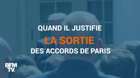 Donald Trump: six mois de mandat et de phrases choc