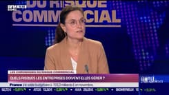  Les Chroniques du risque commercial : Quels risques les entreprises doivent-elles gérer ? - Lundi 16 janvier