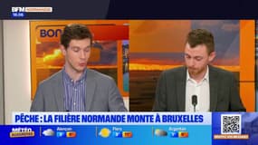 Normandie: la filière de la pêche régionale à Bruxelles pour rencontrer le commissaire européen Costas Kadis