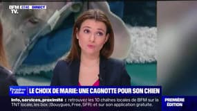 Le choix de Marie : Une cagnotte pour son chien - 07/02