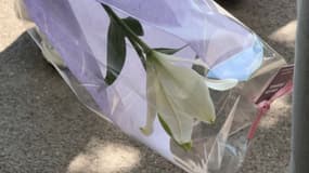 Une marche blanche était organisée pour Nahyl, mort en tombant d'un immeuble à Grasse, ce dimanche 18 mai 2025.