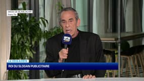 Il a travaillé dans la publicité pendant 15 ans, mais pour Thierry Ardisson, "c'est un boulot de menteur"