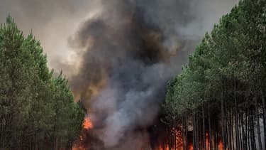 La forêt de Saint-Magne (Gironde) en proie aux flammes le 9 août 2022.