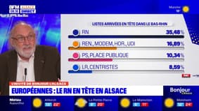 Elections européennes: Philippe Breton analyse les résultats