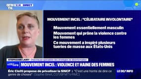 "Action violente" déjouée: qu'est-ce que le "mouvement Incel" dont se réclame l'homme interpellé?