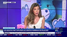 Morning Retail: Les adultes font exploser les ventes d'animaux en peluches, par Noémie Wira - 05/07