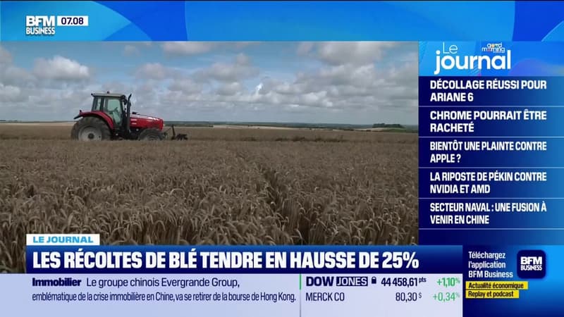 Les récoltes de blé tendre en hausse alors que les prix, eux, ne décollent pas