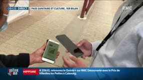 Pass sanitaire: les lieux de loisirs font grise mine après un mois d'application