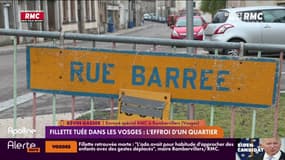 Fillette tuée dans les Vosges: l'effroi d'un quartier 
