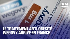  Le traitement anti-obésité Wegovy arrive en France 