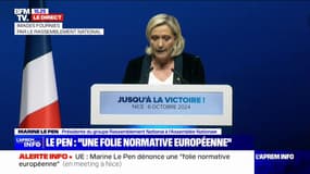 "Je ne peux que rendre hommage solennellement aux 43 otages français exécutés par le Hamas", déclare Marine Le Pen