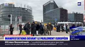 Mobilisation des agriculteurs: deux manifestations devant le Parlement européen à Strasbourg