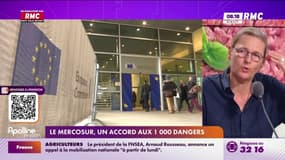 Mercosur: "Ce serait totalement scandaleux d'adopter cet accord"