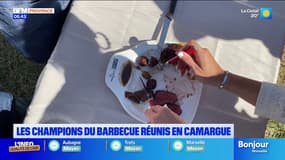 Les champions du barbecue réunis en Camargue