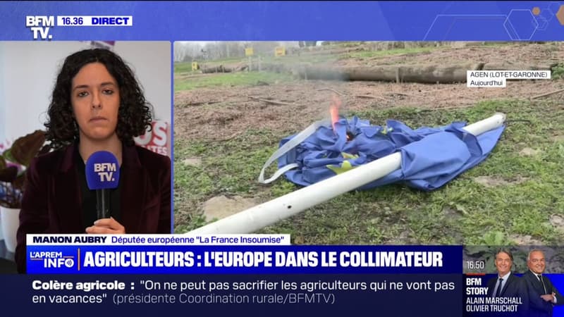 Mobilisation des agriculteurs: Manon Aubry (député européenne LFI) pointe 