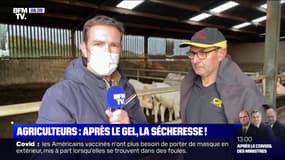 En Vendée, les agriculteurs se désolent de la sécheresse des sols qui compromettent leurs cultures