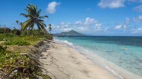 Partisan du libertarianisme, Olivier Janssens veut investir 50 millions de dollars dans les infrastructures de l'île Niévès pour créer un "Monaco-Dubaï des Caraïbes" baptisé Destiny.