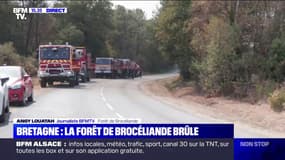 Incendie dans la forêt de Brocéliande: 340 hectares brûlés, selon le dernier bilan de la préfecture