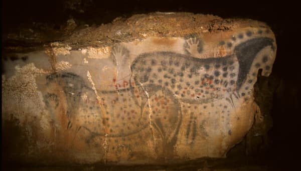 Le panneau des "chevaux ponctués" dans la grotte du Pech-Merle (Lot).
