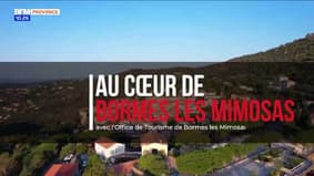 Au Cœur de Bormes les Mimosas