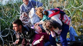 Une famille de migrants rampe sous des fils barbelés à la frontière serbo-hongroise le 27 août 2015