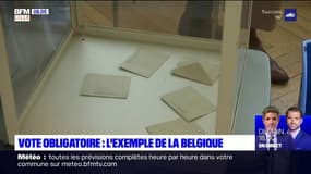 Le vote obligatoire pour lutter contre l'abstention? L'exemple de la Belgique