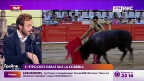 L'avis tranché : L'hypocrite débat sur la corrida