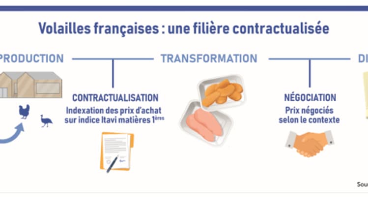 La volaille française adopte un schéma contractuel La volaille française adopte un schéma contractuel