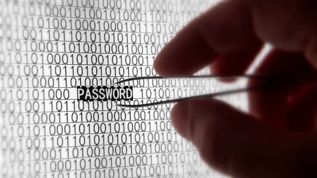 Quatre dangers sont courants sur internet : le hameçonnage, l’intrusion par un Cheval de Troie, l’absence de protocole HTTPS et le piratage de mots de passe.