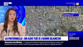 Marseille: un adolescent de 17 ans tué à l'arme blanche dans la cité de la Paternelle