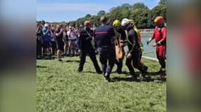 Un chevreuil est tombé dans le grand canal du château de Versailles dimanche 29 juillet, lors des épreuves de cross country.