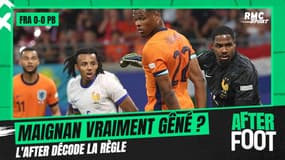 France 0-0 Pays-Bas : Y-avait-il but néerlandais ? L'After décode la règle