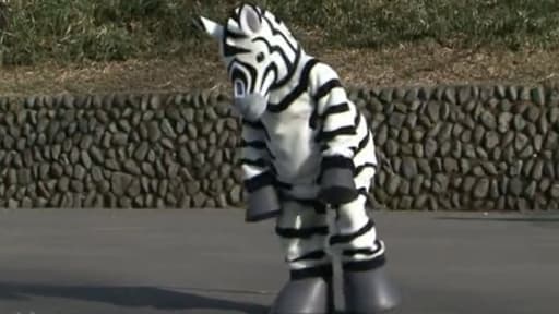 Le gardien d'un zoo de Tokyo a dû se déguiser en zèbre pour un exercice.