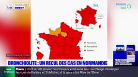 Bronchiolite: la Normandie passe en phase "post-épidemie"