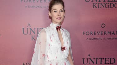 Rosamund Pike le 6 février 2017 à New York