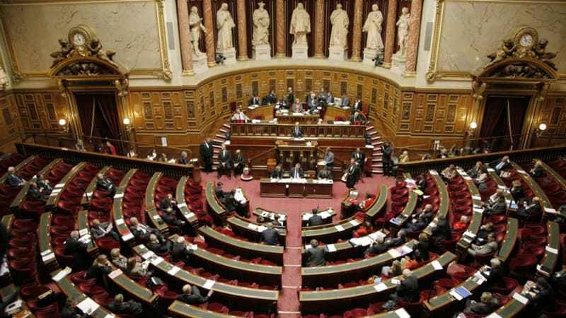 Le principe des 12 dimanches ouverts par an n'a pas provoqué de remous sur les bancs du Sénat