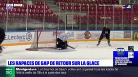 Les Rapaces de Gap de retour sur la glace avec huit nouvelles recrues