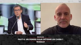 "L'identification des animaux de compagnie est déjà obligatoire!" - Loïc Dombreval, député LREM des Alpes-Maritimes dans "Neumann-Lechypre" sur RMC et RMC Story