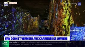 Carrières de lumière: une exposition immersive de Vermeer à Van Gogh