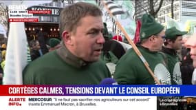 Mercosur: "On est sacrifiés", estime cet agriculteur breton