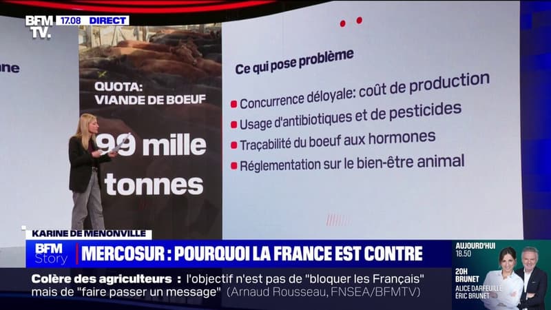 LES ÉCLAIREURS - Colère des agriculteurs: pourquoi la France s'oppose au Mercosur