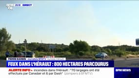 Incendies dans l'Hérault: près de 200 personnes qui s'apprêtaient à célébrer un mariage ont été évacuées à Aumelas