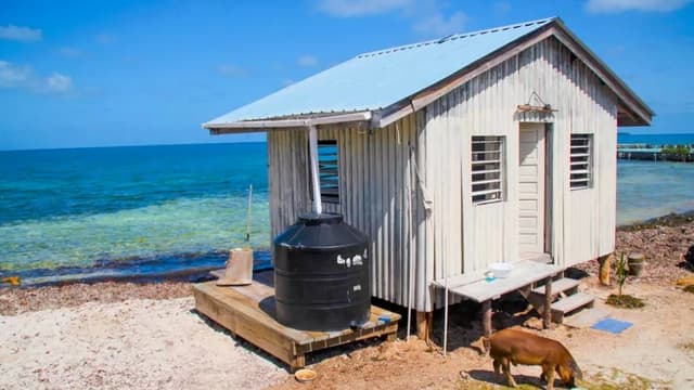 Une île est à vendre au Belize.
