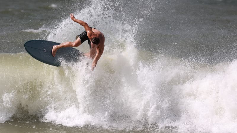 Des chercheurs démontrent qu'illuminer les planches de surf dissuade les requins d'attaqu image