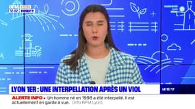 Lyon: un homme suspecté d'un viol dans les toilettes d'une boite de nuit interpellé