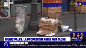 Élections municipales: la propreté, priorité n°1 des Parisiens