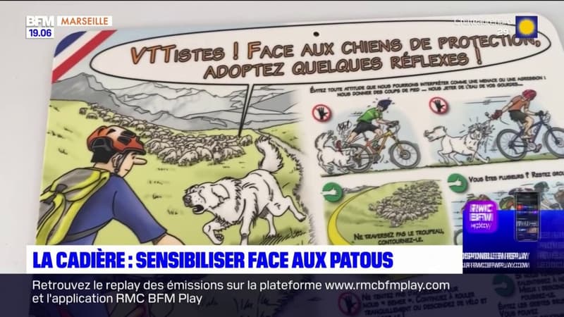 La Cadière-d'Azur: une journée de sensibilisation sur les patous